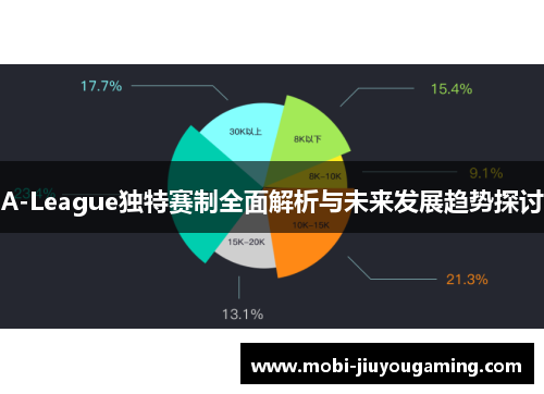 A-League独特赛制全面解析与未来发展趋势探讨