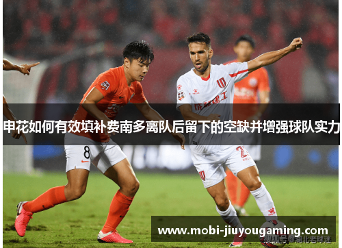 申花如何有效填补费南多离队后留下的空缺并增强球队实力