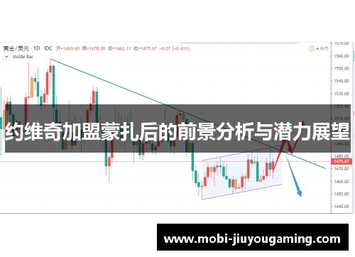 约维奇加盟蒙扎后的前景分析与潜力展望