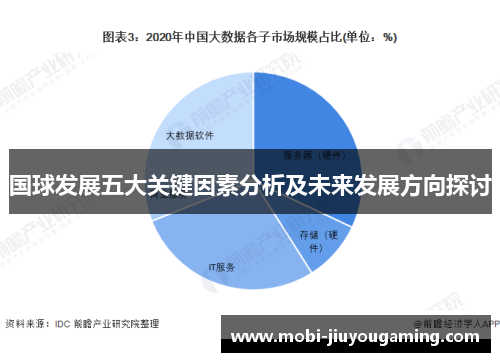 国球发展五大关键因素分析及未来发展方向探讨