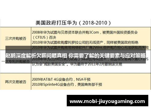 赵鹏深度解析欠薪问题真相 你需要了解的关键要素与应对策略