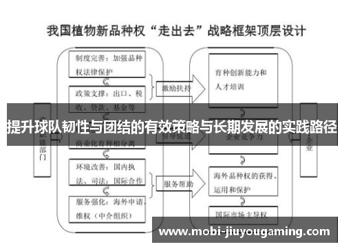 提升球队韧性与团结的有效策略与长期发展的实践路径